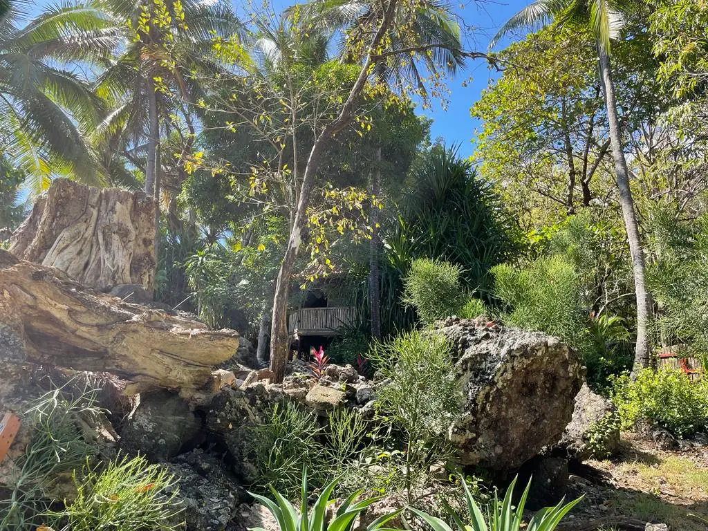 Beachfront Paradise Home photo 9