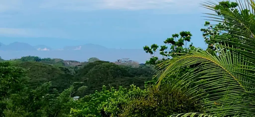 Artistic Ocean View Home - Montezuma photo 52
