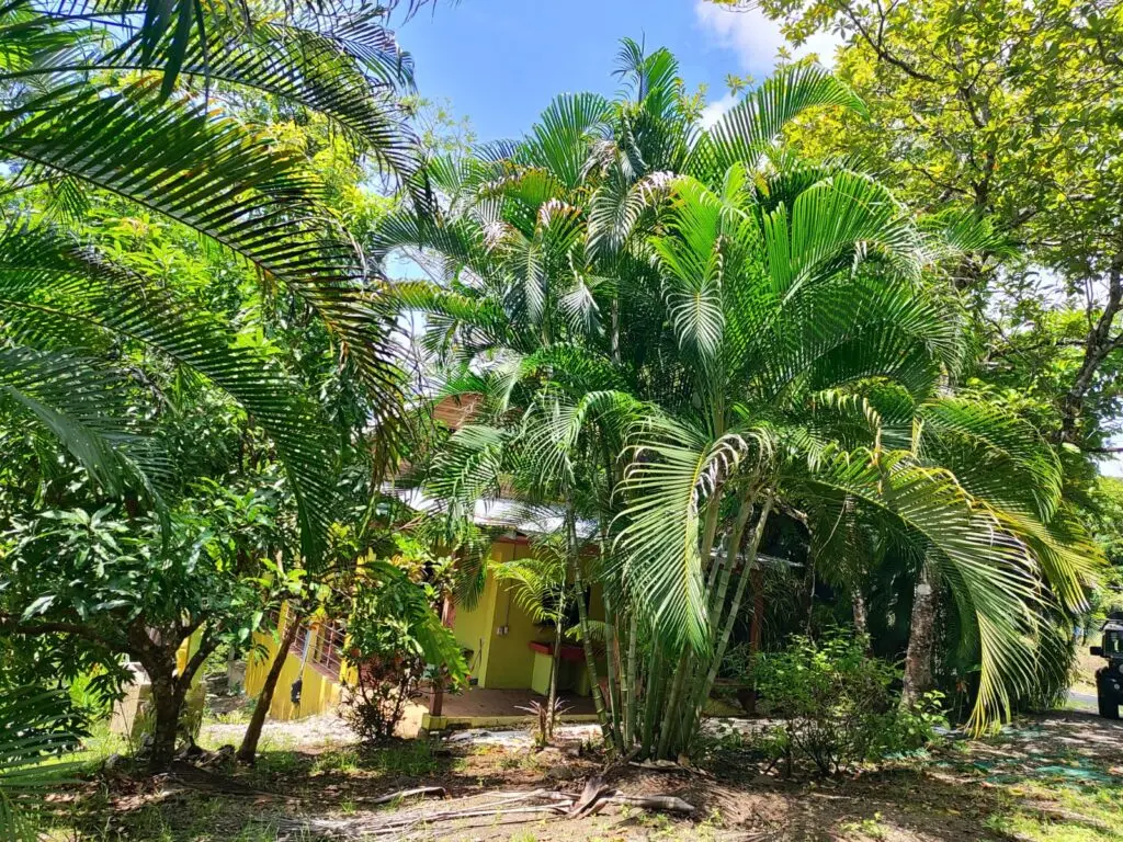 Montezuma Commercial Land & House photo 2