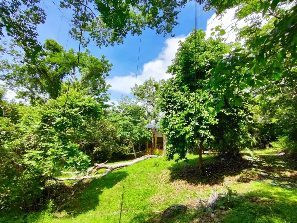Montezuma Commercial Land & House photo 9