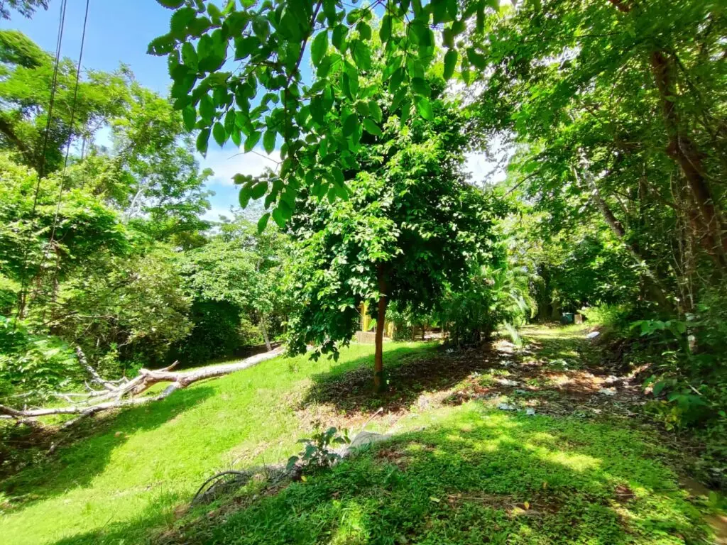 Montezuma Commercial Land & House photo 7