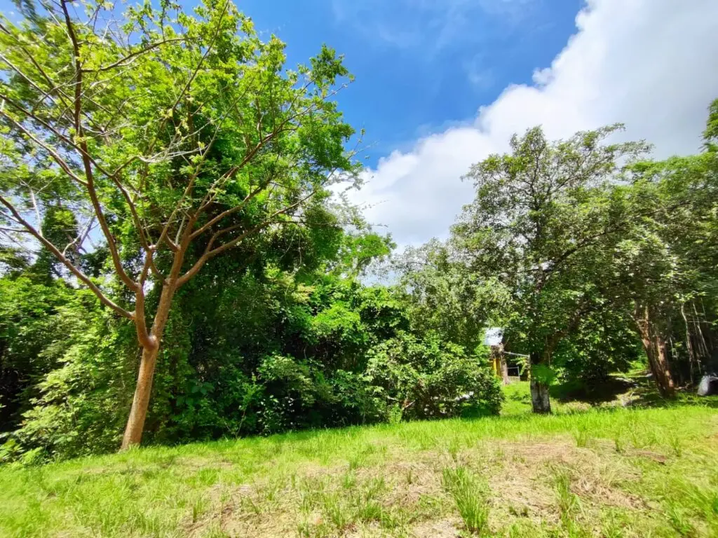 Montezuma Commercial Land & House photo 10