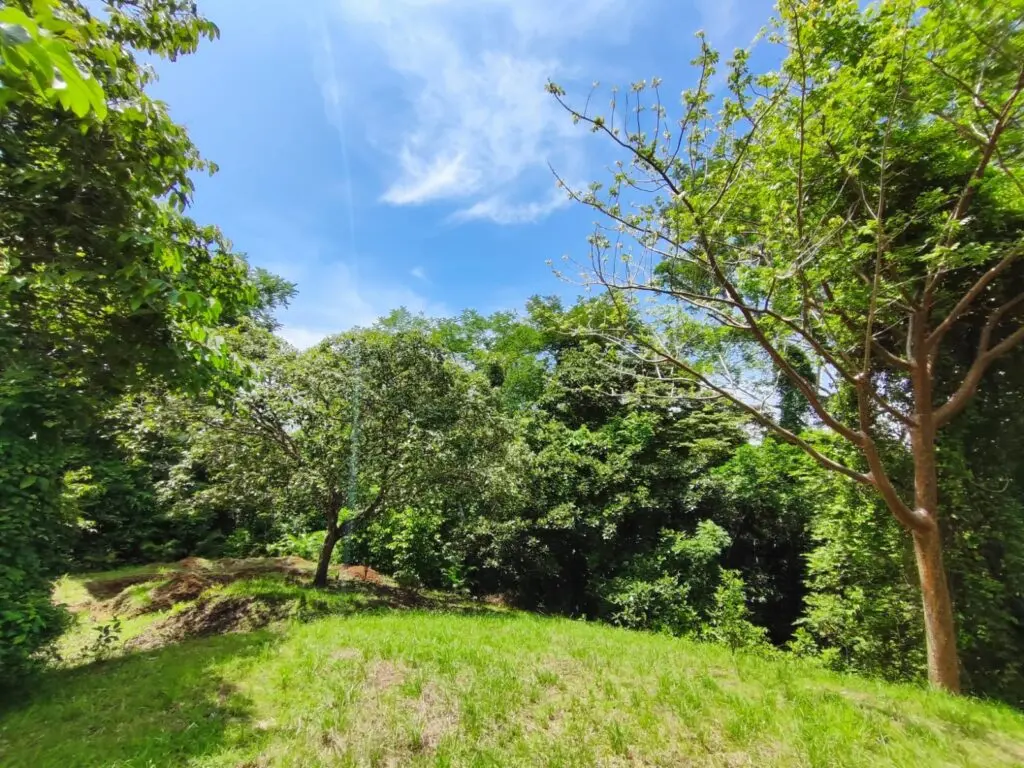 Montezuma Commercial Land & House photo 5