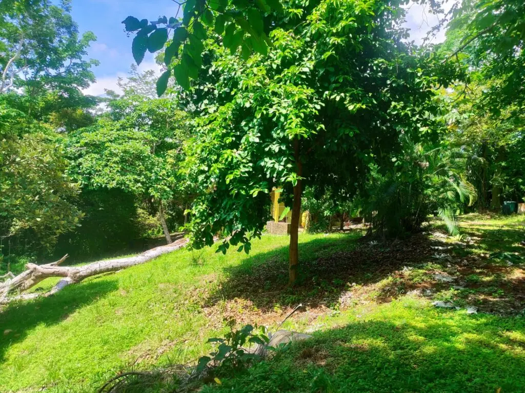 Montezuma Commercial Land & House photo 3