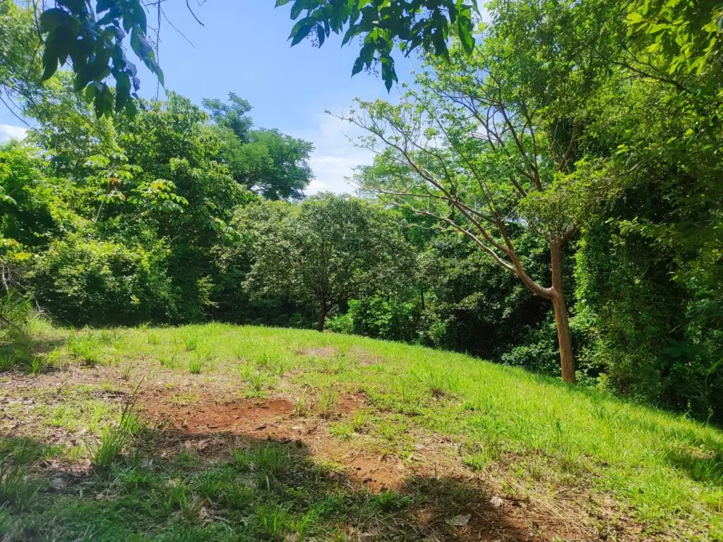 Montezuma Commercial Land & House photo 6