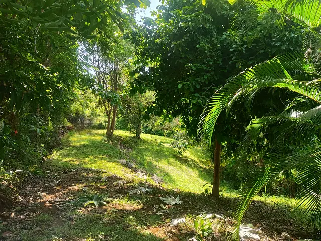 Montezuma Commercial Land & House photo 8
