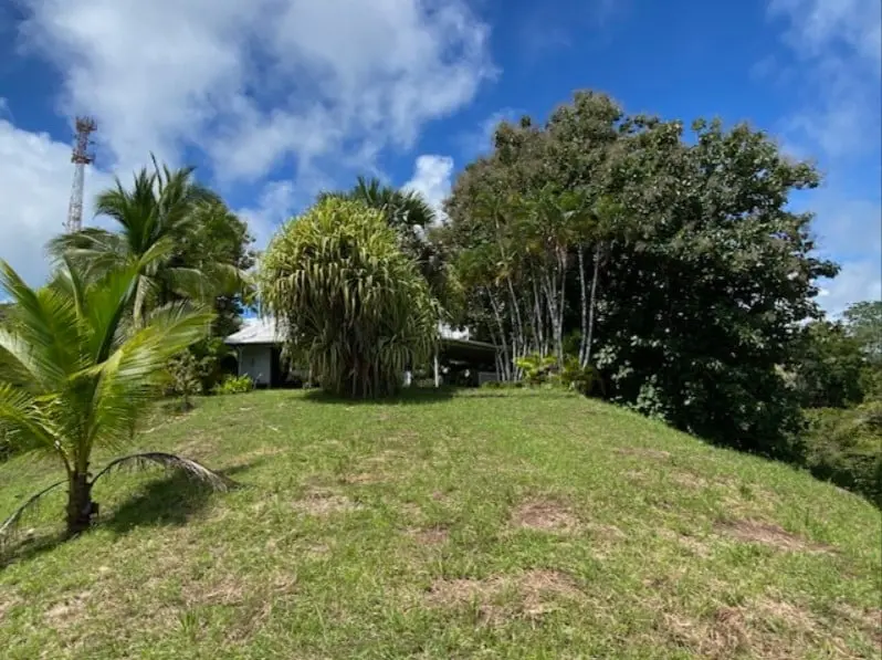 Oceanfront Jungle Paradise photo 31