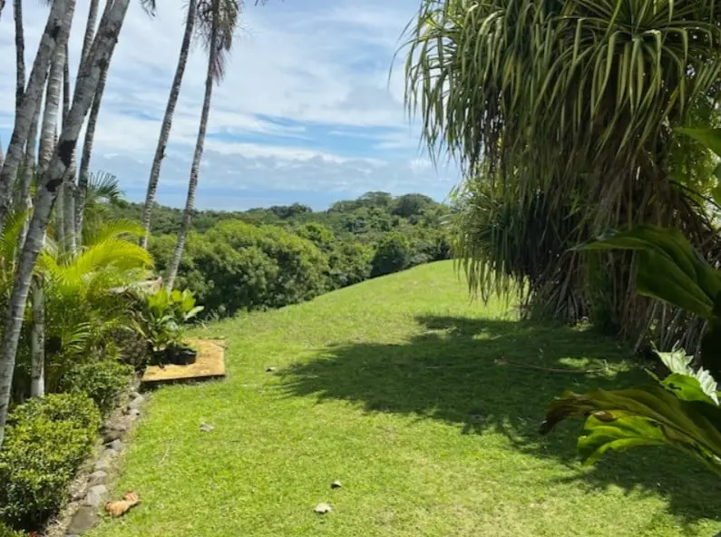 Oceanfront Jungle Paradise photo 19