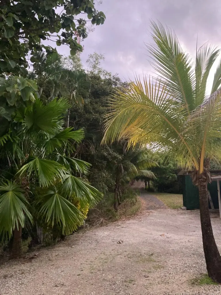 Oceanfront Jungle Paradise photo 27