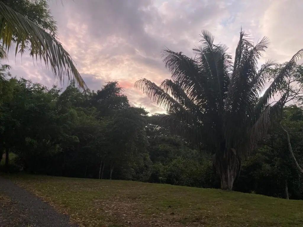 Oceanfront Jungle Paradise photo 18