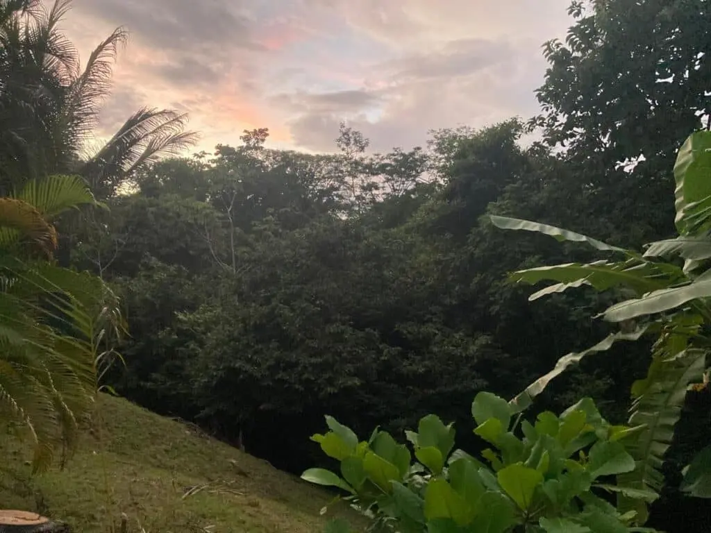 Oceanfront Jungle Paradise photo 17