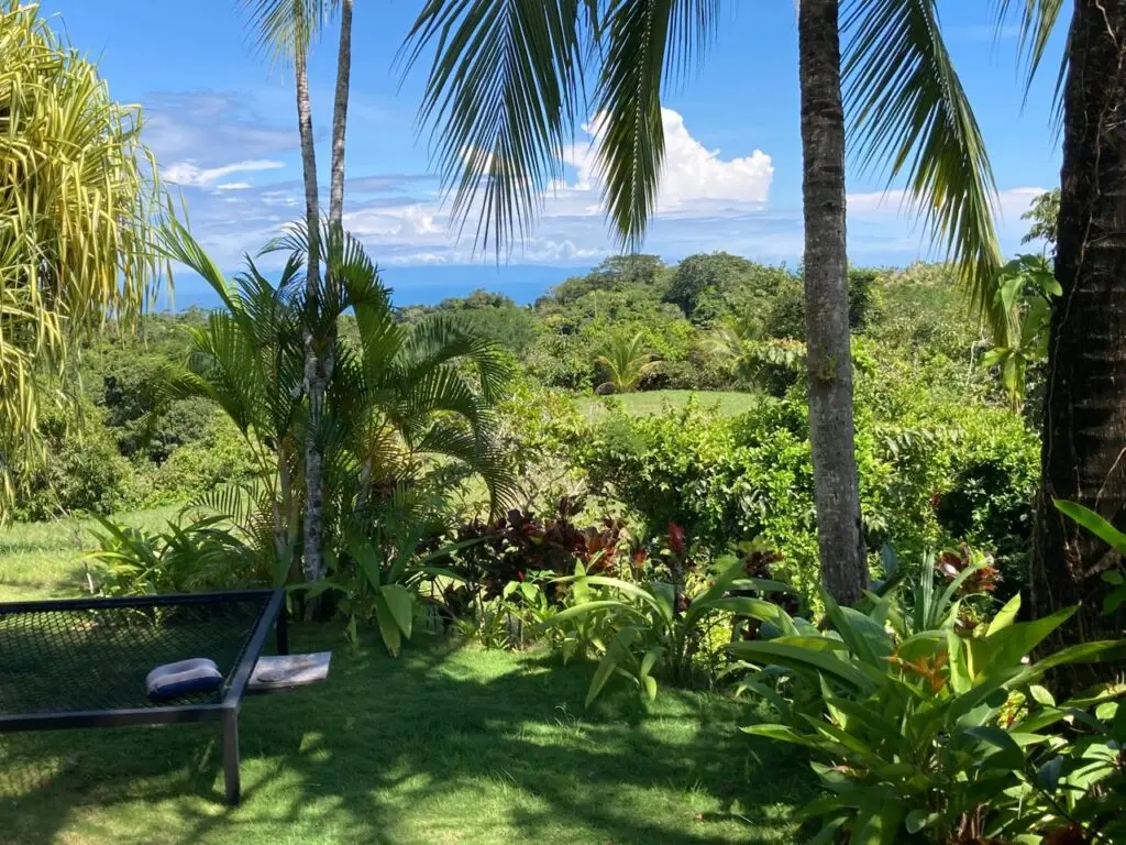 Oceanfront Jungle Paradise photo 5