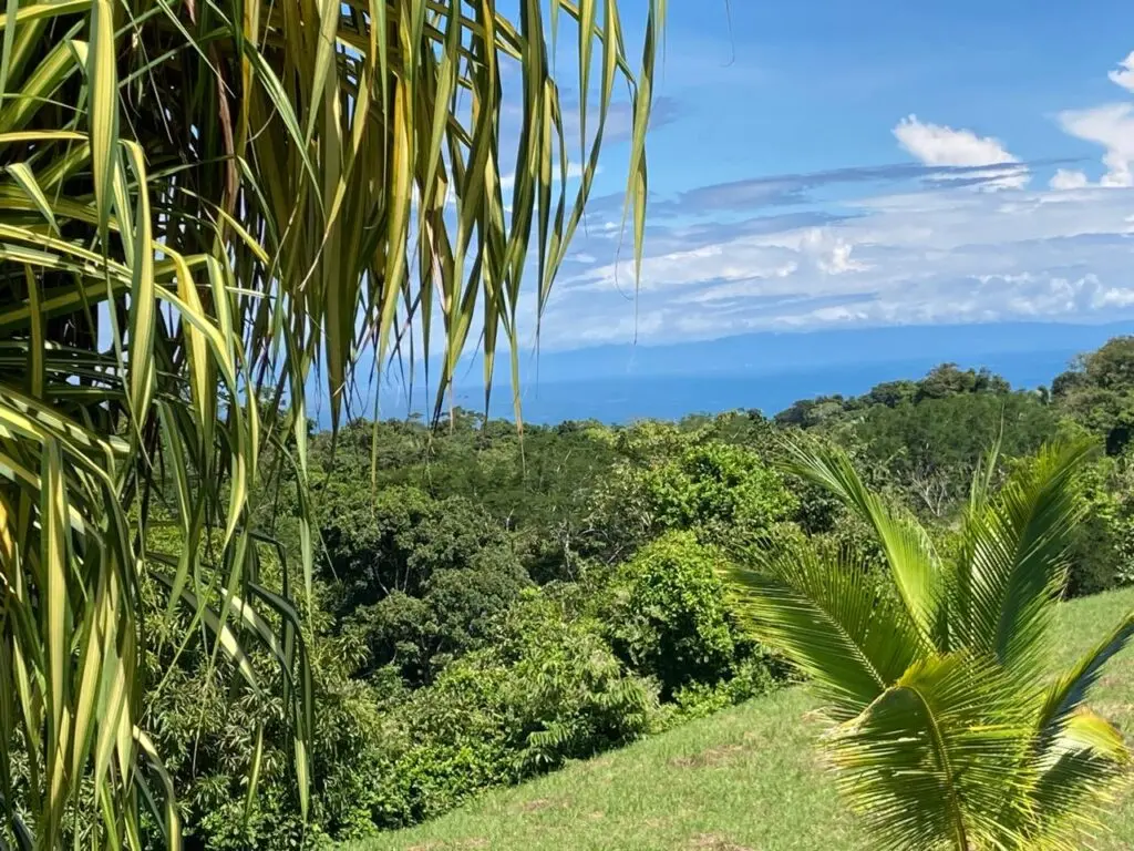 Oceanfront Jungle Paradise photo 6