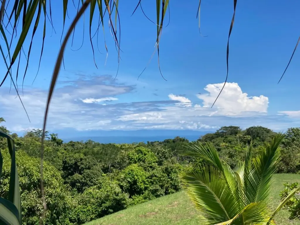 Oceanfront Jungle Paradise photo 2