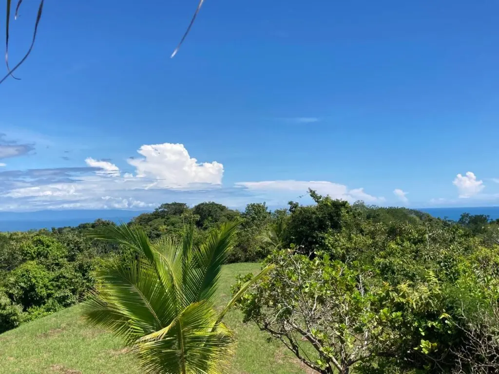 Oceanfront Jungle Paradise photo 9