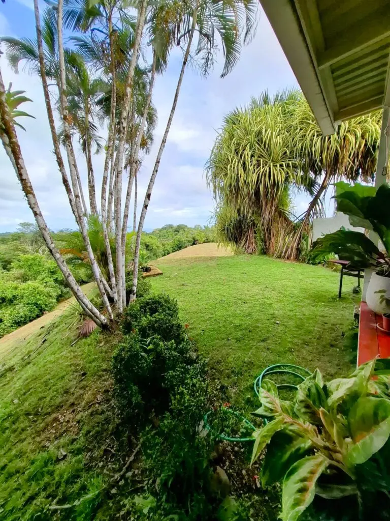 Oceanfront Jungle Paradise photo 8