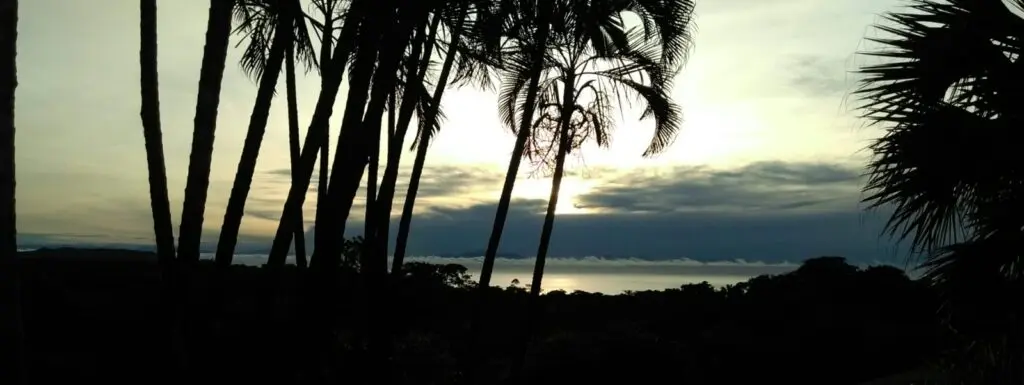 Oceanfront Jungle Paradise photo 15