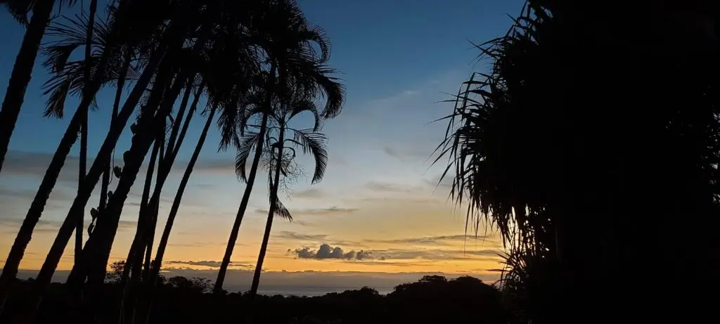Oceanfront Jungle Paradise photo 14