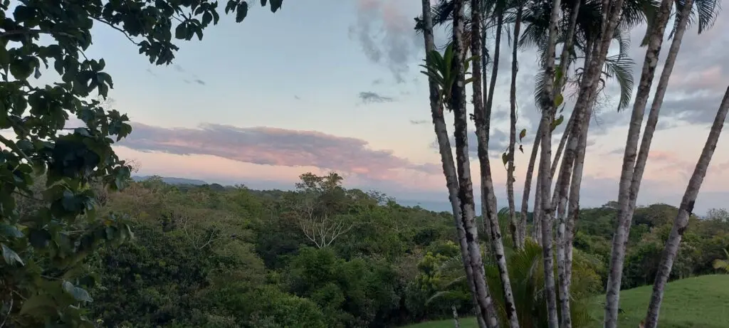 Oceanfront Jungle Paradise photo 16