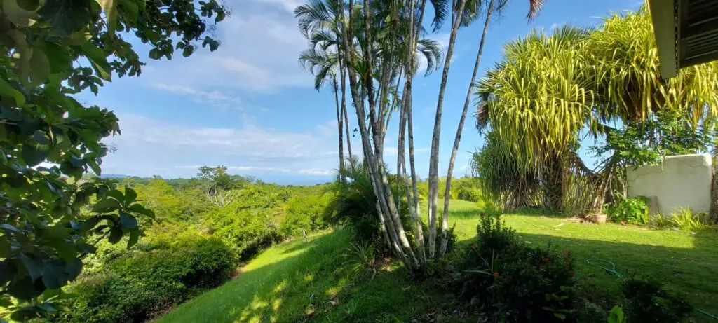 Oceanfront Jungle Paradise photo 3