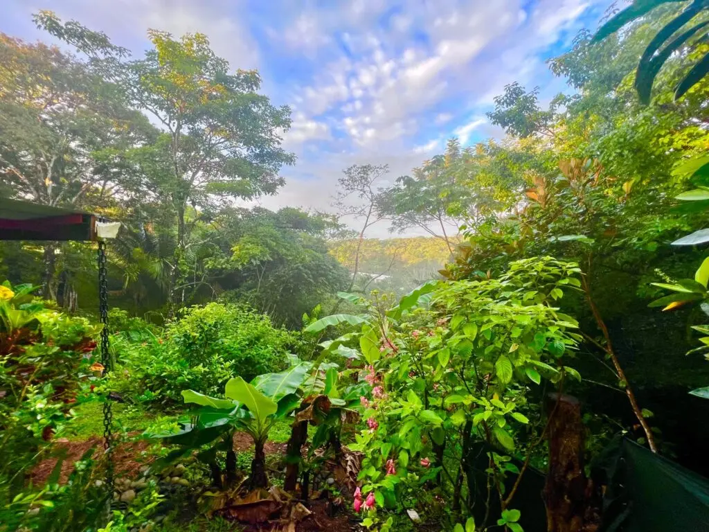 Beautiful Sunset Views Home in Montezuma photo 28