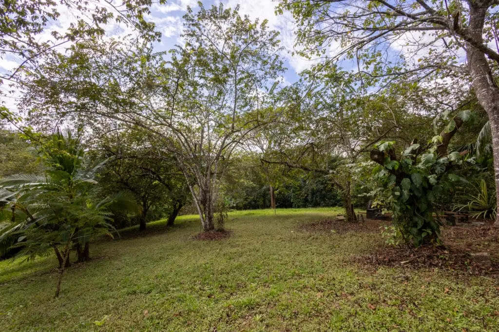 Montezuma Vacation Rental & Investment Property photo 29