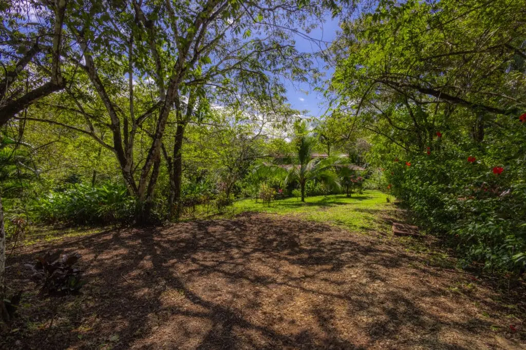Montezuma Vacation Rental & Investment Property photo 56