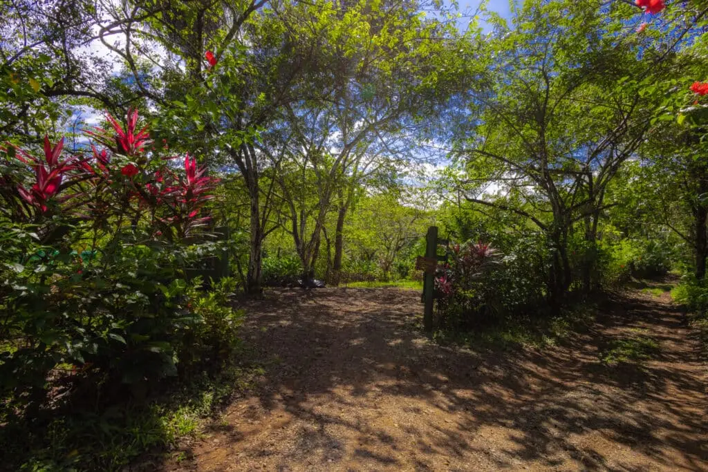 Montezuma Vacation Rental & Investment Property photo 55