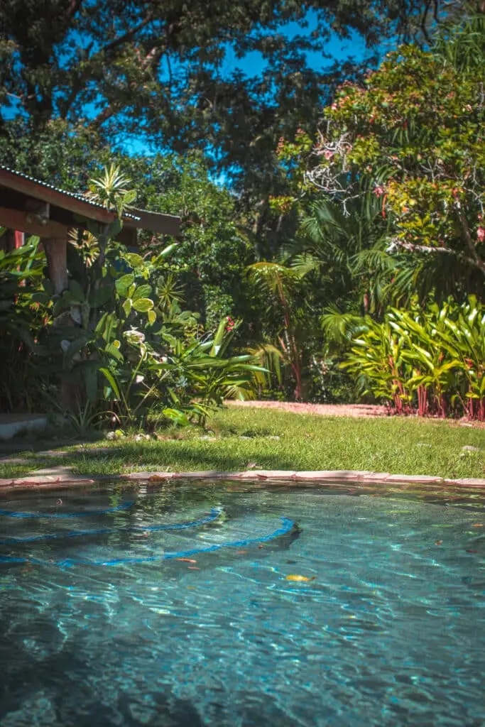 Ocean View Property in Montezuma photo 19