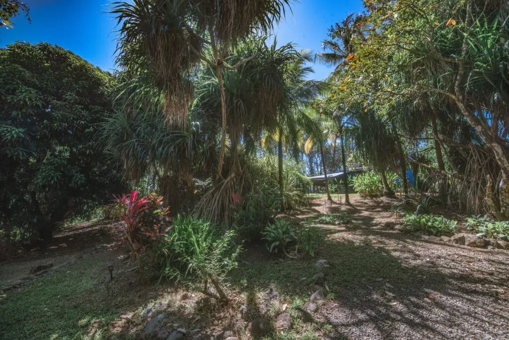 Ocean View Property in Montezuma photo 16