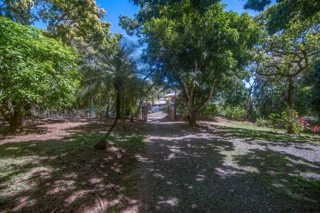 Ocean View Property in Montezuma photo 15