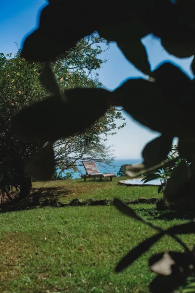 Ocean View Property in Montezuma photo 7