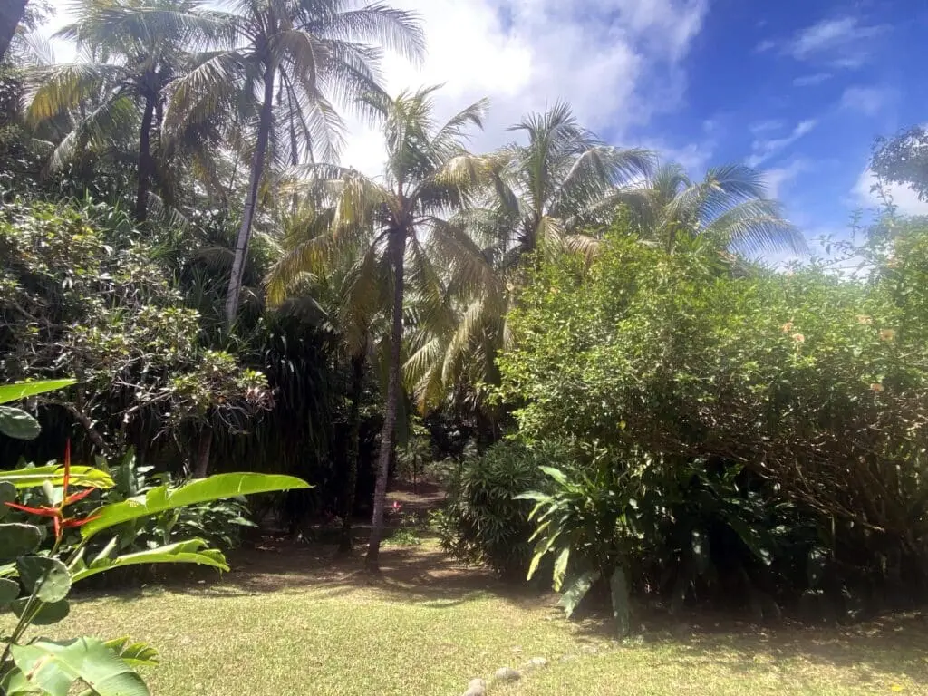 Ocean View Property in Montezuma photo 6