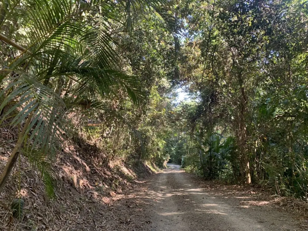 Ocean View Sanctuary in Montezuma photo 1