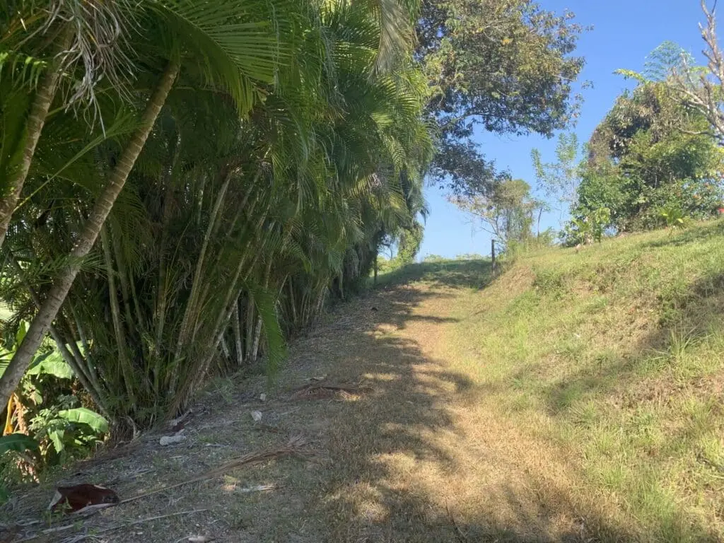 Ocean View Sanctuary in Montezuma photo 3