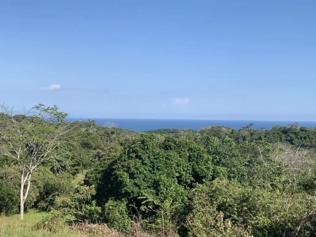 Ocean View Sanctuary in Montezuma photo 5