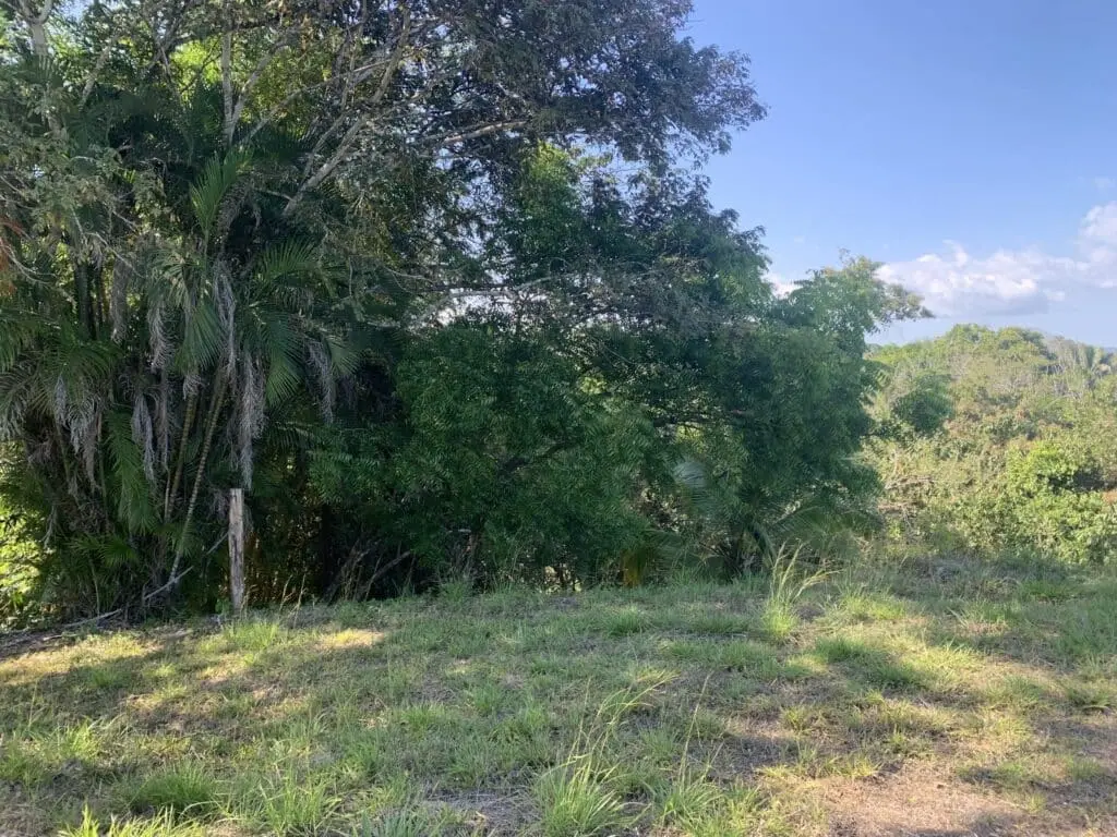 Ocean View Sanctuary in Montezuma photo 7