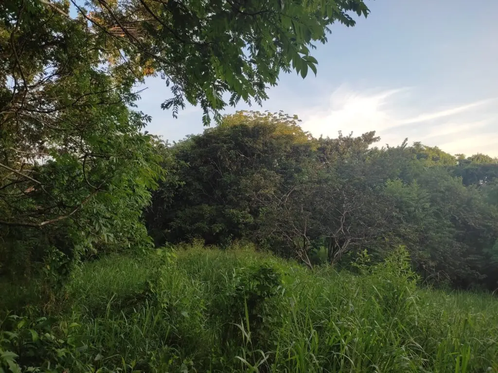 Montezuma's Unique Nature Property photo 20