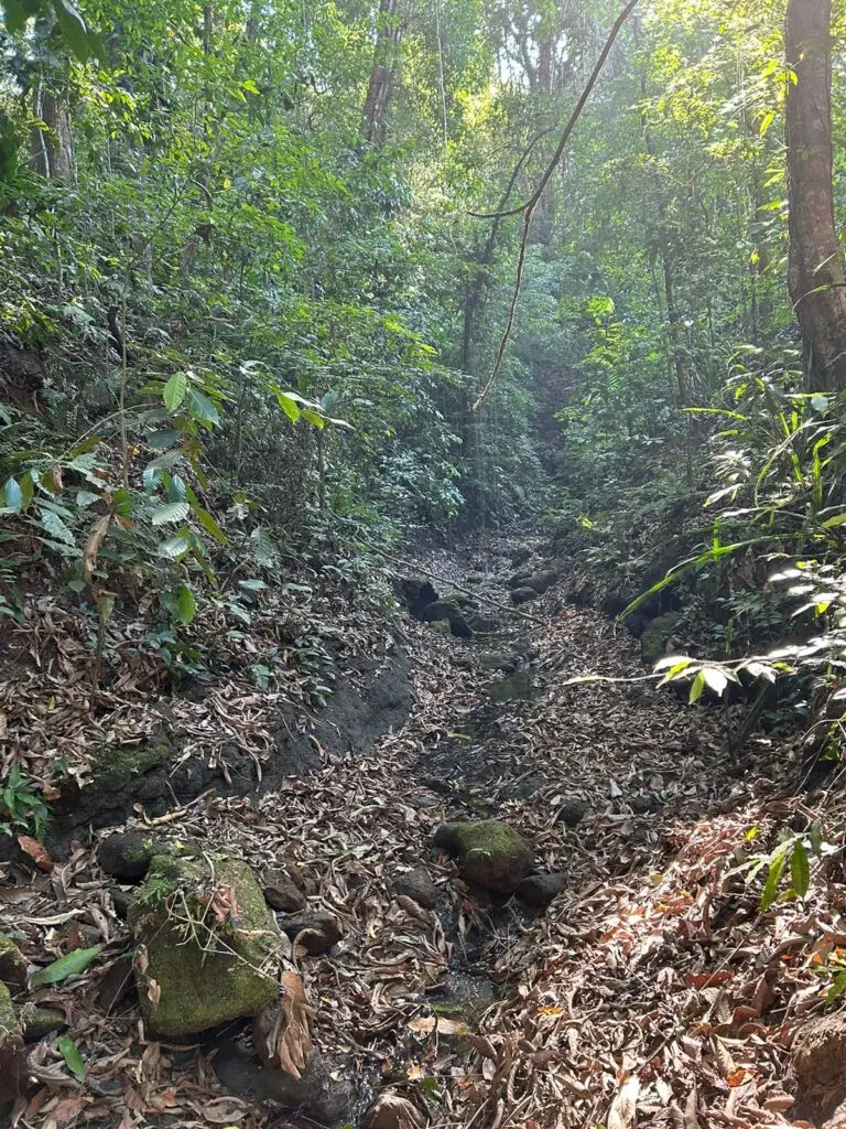 Montezuma's Unique Nature Property photo 3