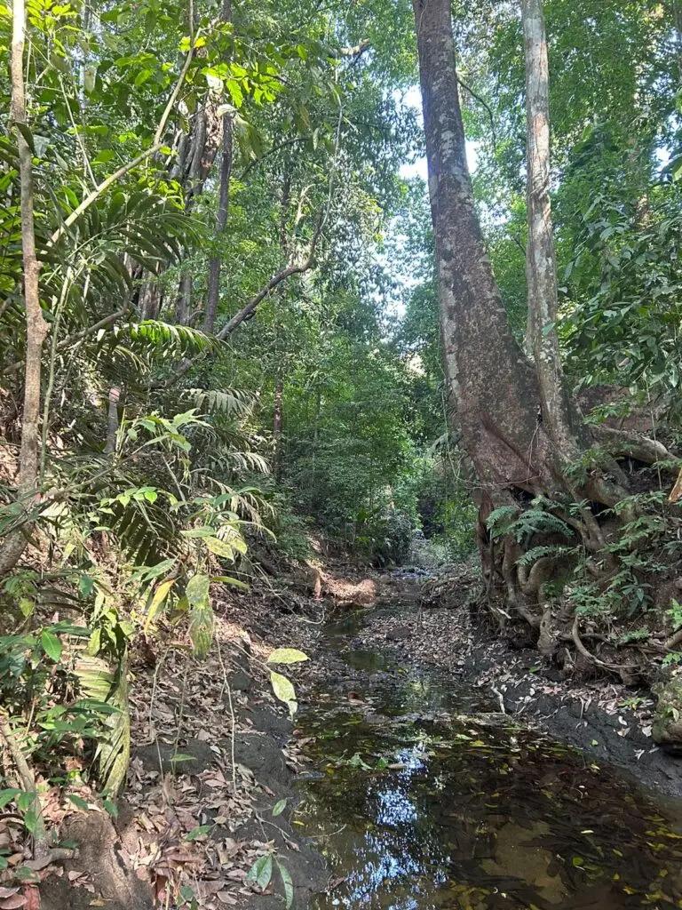 Montezuma's Unique Nature Property photo 4