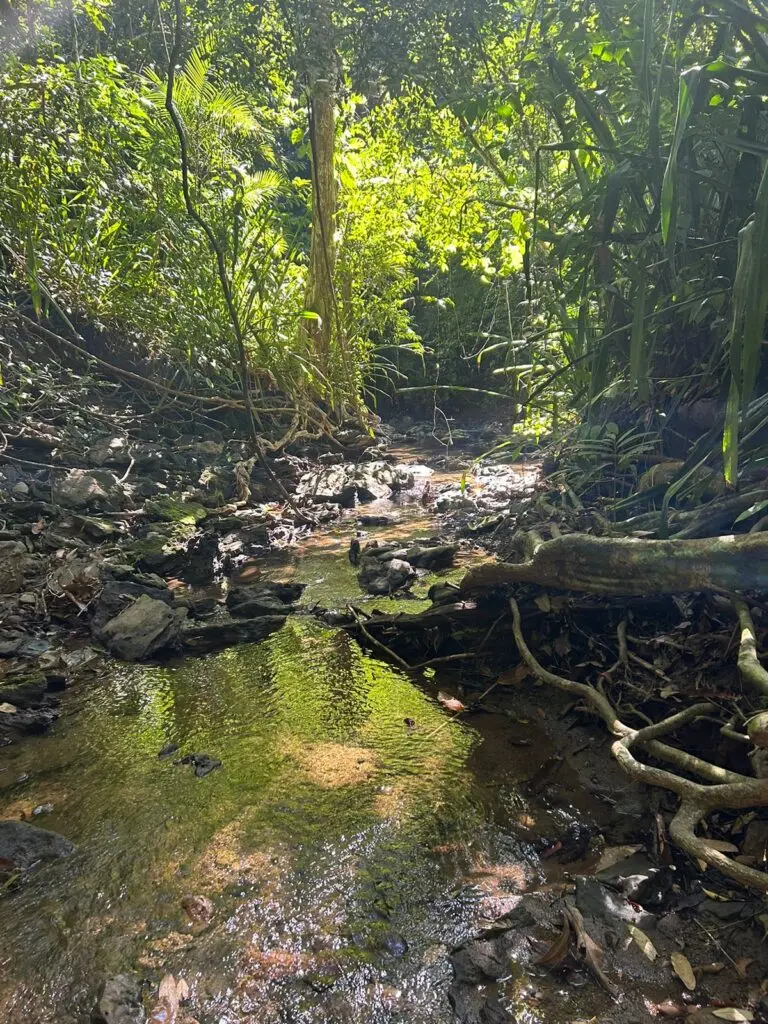 Montezuma's Unique Nature Property photo 5