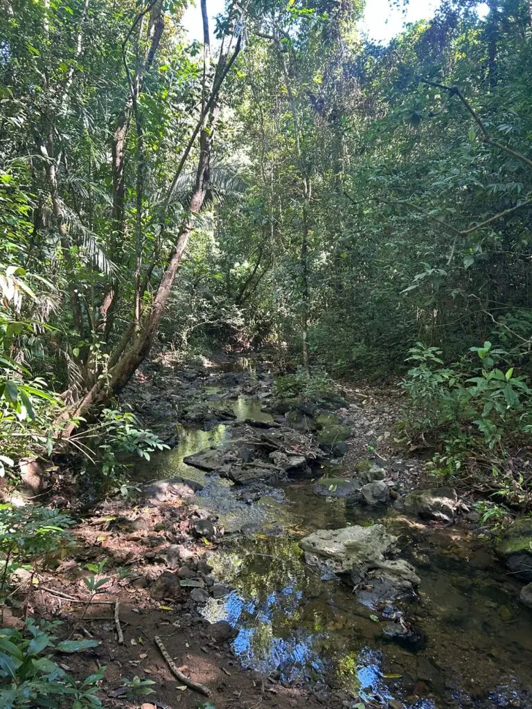 Montezuma's Unique Nature Property photo 6