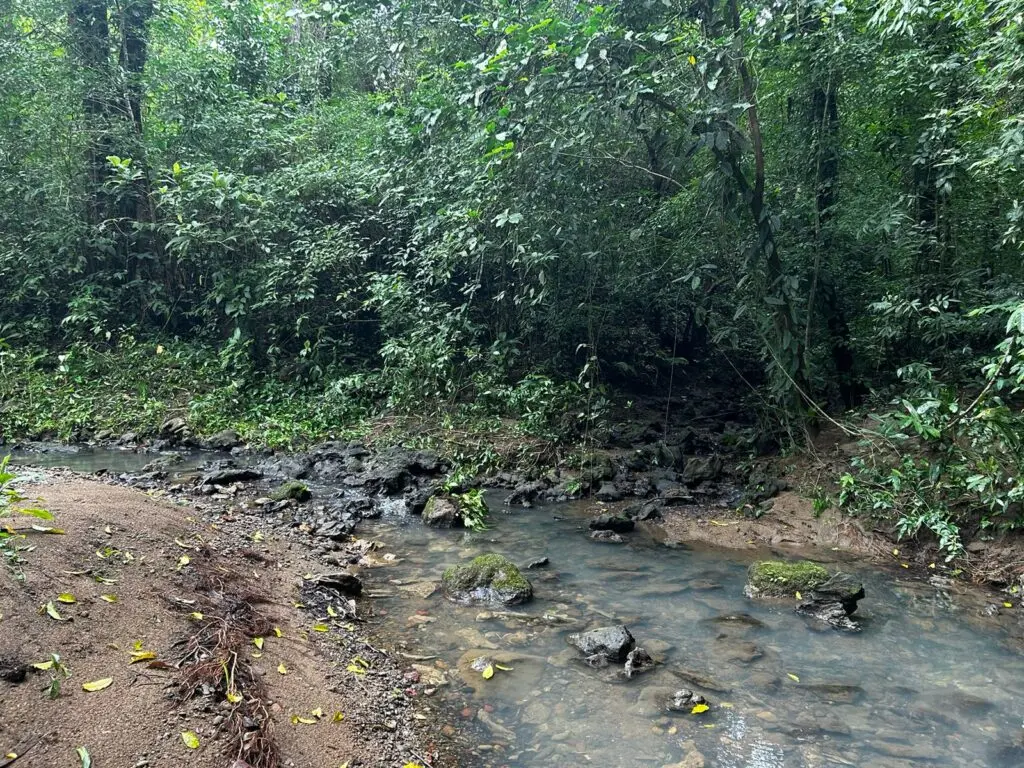 Montezuma's Unique Nature Property photo 8