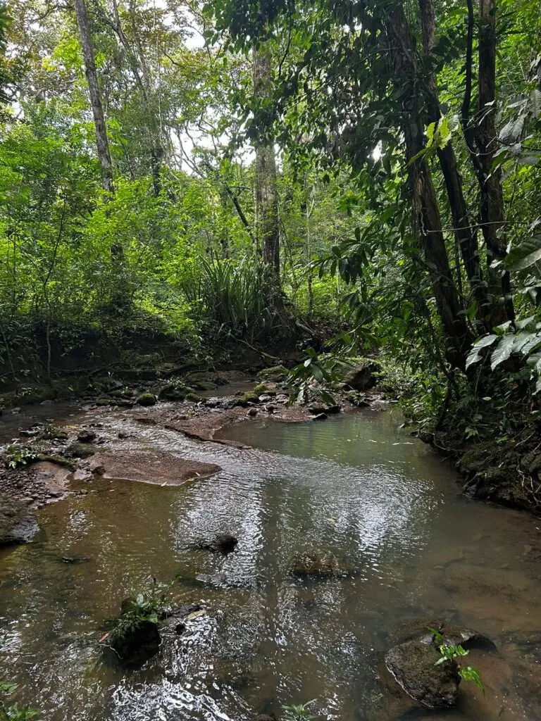 Montezuma's Unique Nature Property photo 9