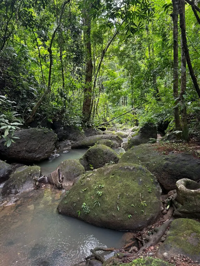 Montezuma's Unique Nature Property photo 10