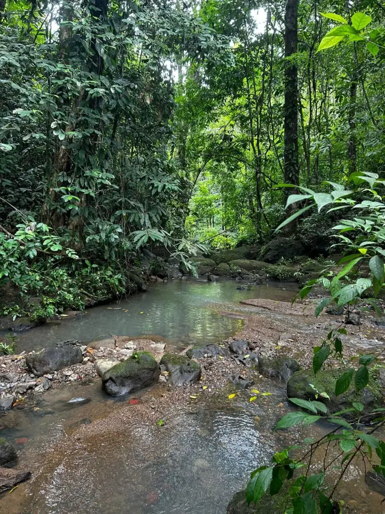 Montezuma's Unique Nature Property photo 12