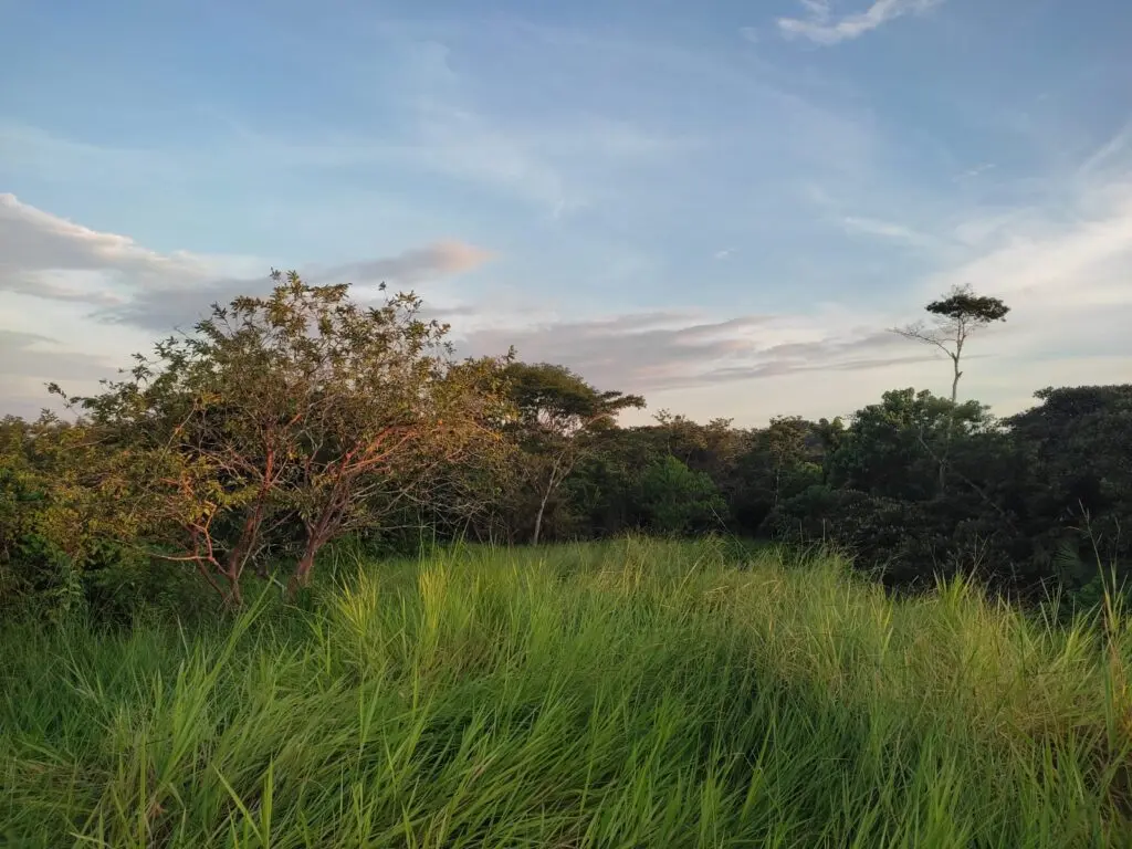 Montezuma's Unique Nature Property photo 15