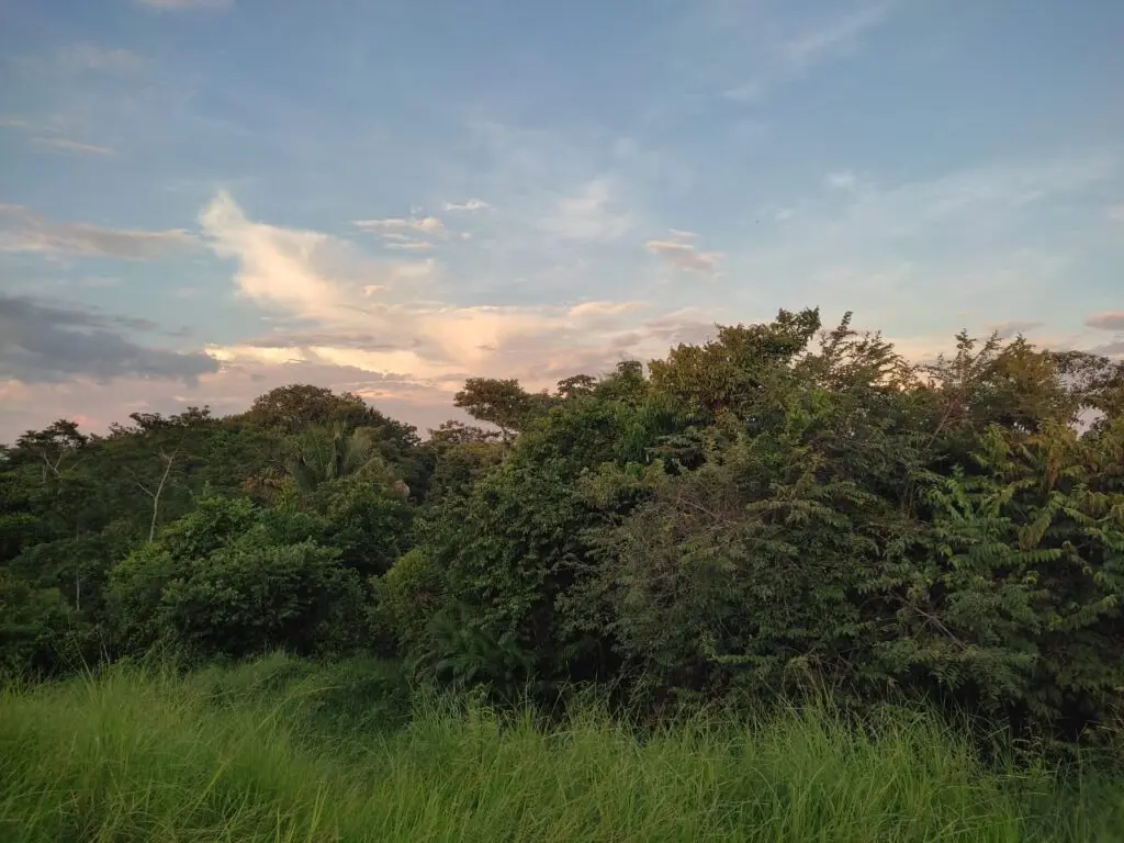 Montezuma's Unique Nature Property photo 16