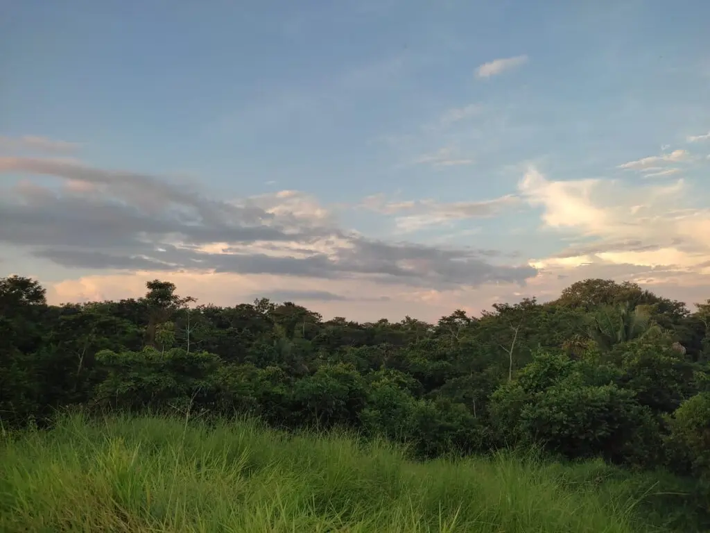 Montezuma's Unique Nature Property photo 17