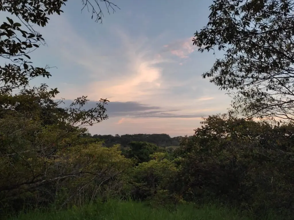 Montezuma's Unique Nature Property photo 18